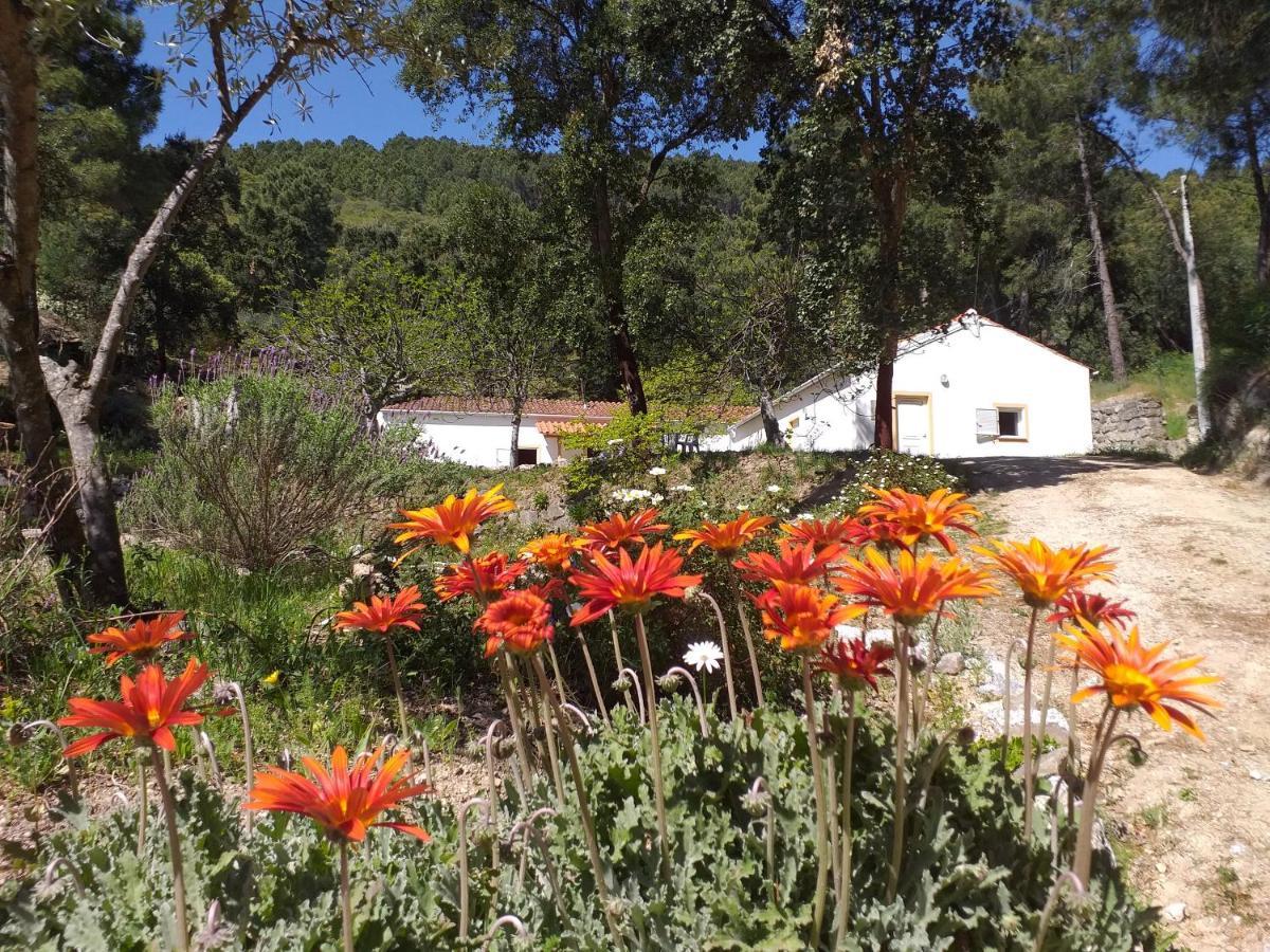 Quinta Da Barroquinha Konuk evi Vale de Prazeres Dış mekan fotoğraf