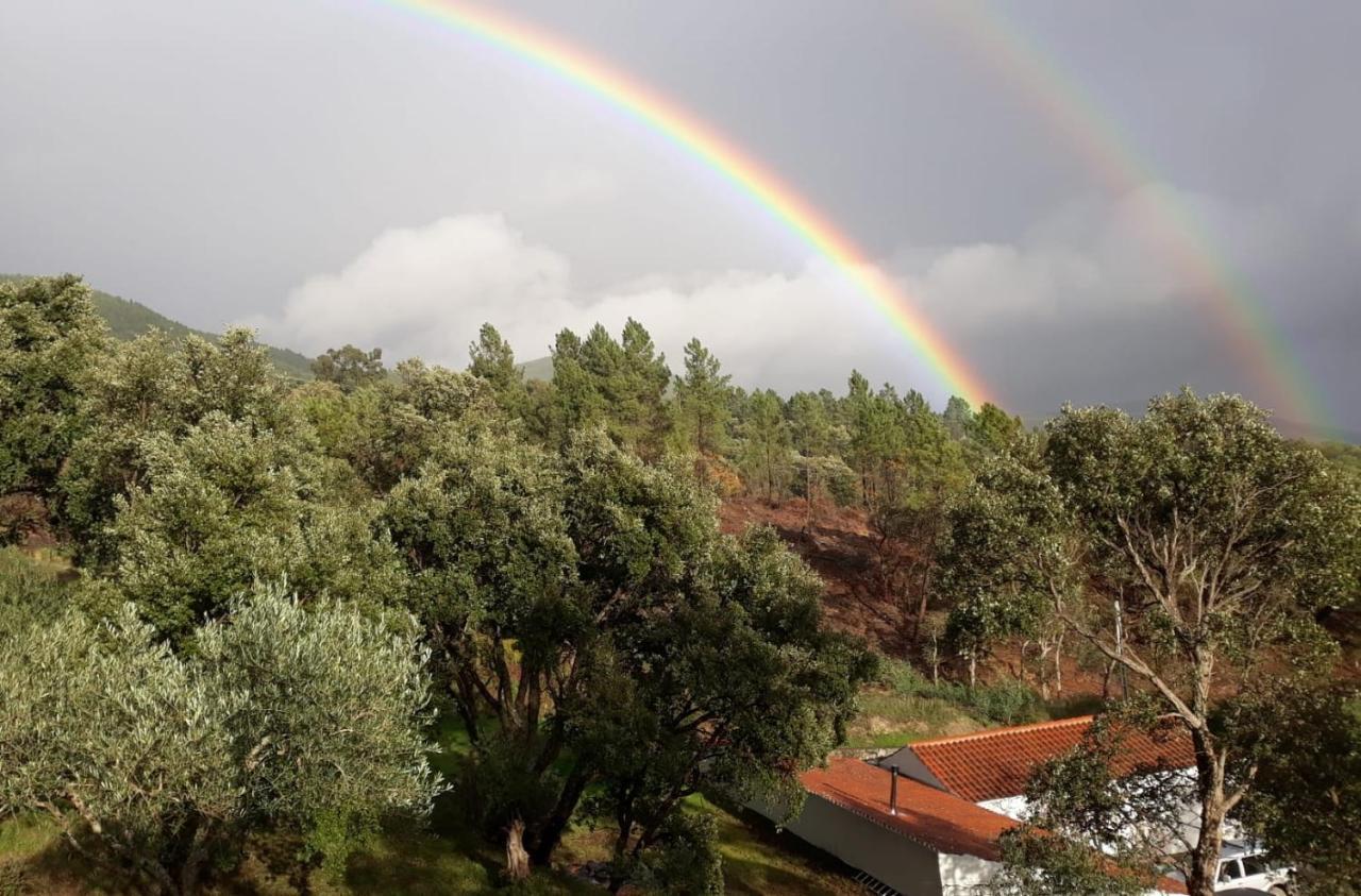 Quinta Da Barroquinha Konuk evi Vale de Prazeres Dış mekan fotoğraf