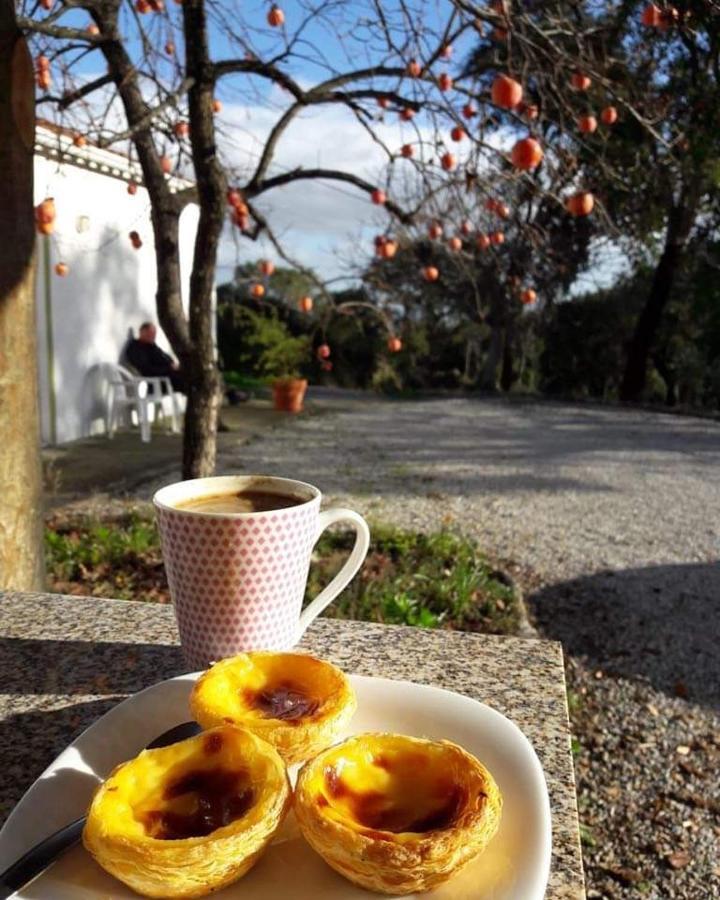 Quinta Da Barroquinha Konuk evi Vale de Prazeres Dış mekan fotoğraf
